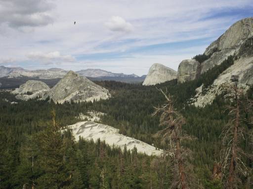 Image0098.web.jpg