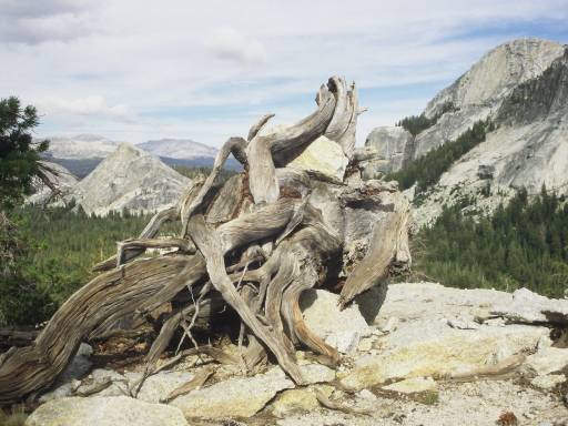 Image0099.web.jpg
