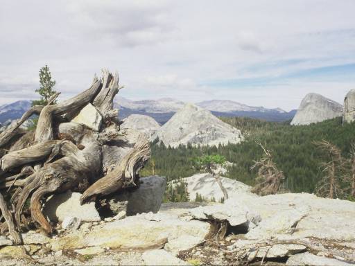 Image0100.web.jpg