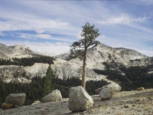 Image0101.web.jpg