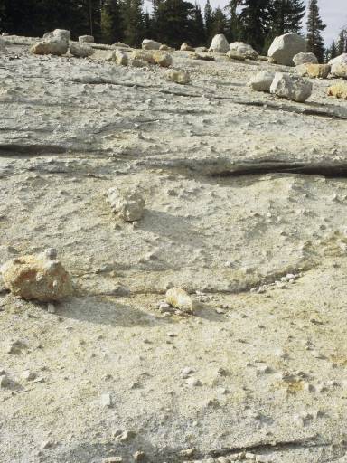 Image0103.web.jpg