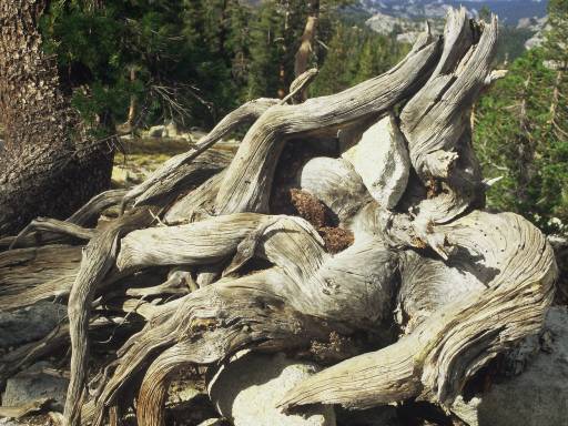 Image0104.web.jpg