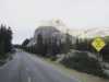 [thumbnail of Picture 31]