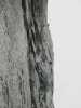 [thumbnail of Picture 35]