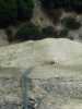 [thumbnail of Picture 1]