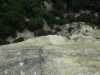 [thumbnail of Picture 2]