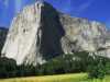 [thumbnail of Picture 7]
