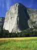 [thumbnail of Picture 8]