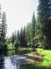 [thumbnail of Picture 9]