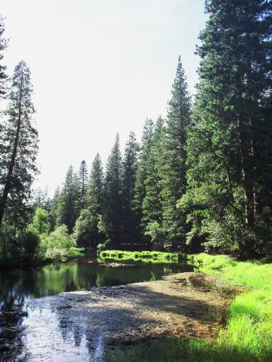 Image0123.web.jpg