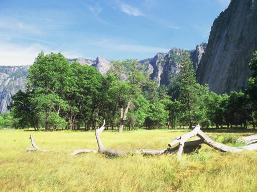 Image0125.web.jpg