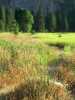 [thumbnail of Picture 13]