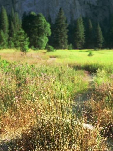 Image0127.web.jpg