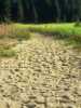 [thumbnail of Picture 15]
