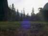 [thumbnail of Picture 16]