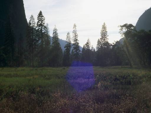 Image0130.web.jpg