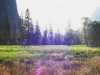 [thumbnail of Picture 17]