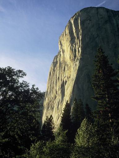 Image0132.web.jpg