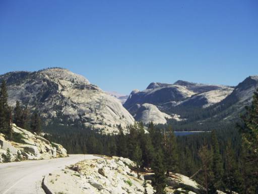 Image0136.web.jpg