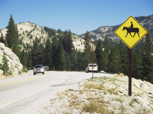 Image0137.web.jpg