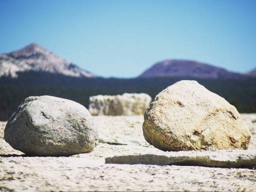Image0145.web.jpg
