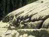 [thumbnail of Picture 33]