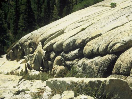 Image0147.web.jpg