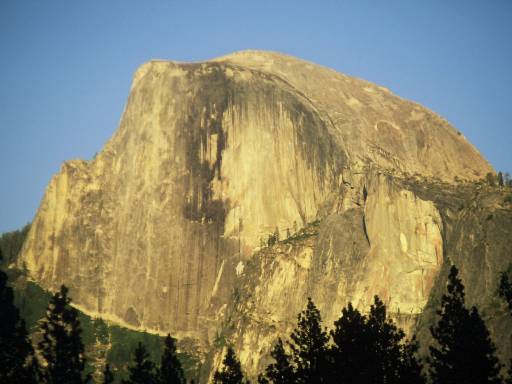 Image0151.web.jpg