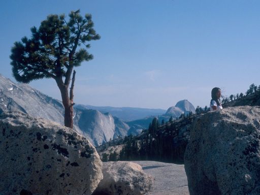 Image116.web.jpg