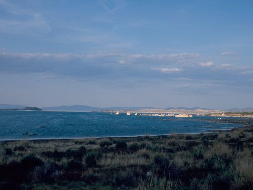 Image118.web.jpg