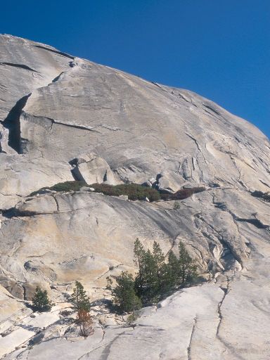 Image120.web.jpg
