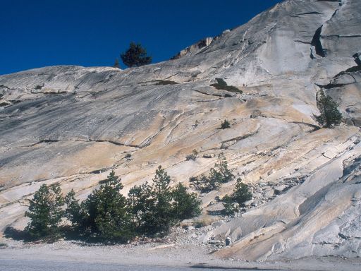 Image123.web.jpg