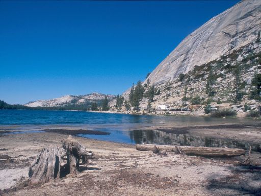 Image145.web.jpg