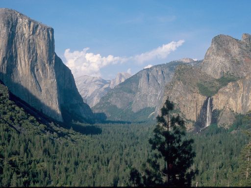 Image150.web.jpg