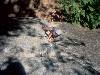 [thumbnail of Picture 5]