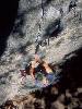 [thumbnail of Picture 7]