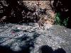 [thumbnail of Picture 14]