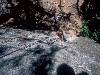 [thumbnail of Picture 15]