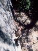 [thumbnail of Picture 18]