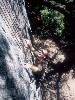[thumbnail of Picture 19]