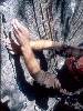[thumbnail of Picture 20]
