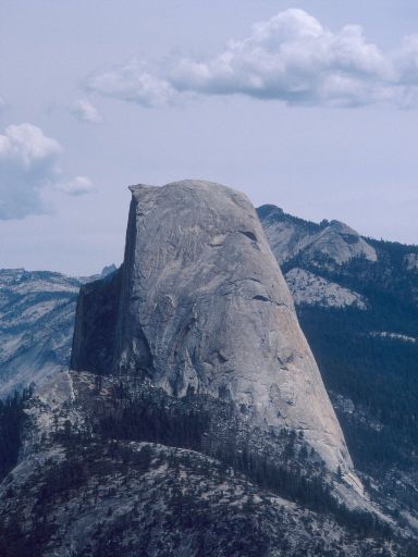 Image181.web.jpg