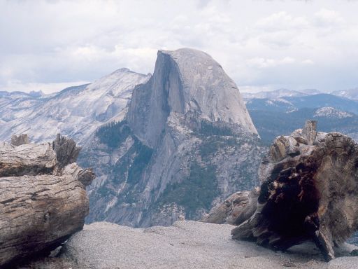 Image186.web.jpg