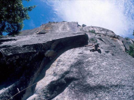 Image213.web.jpg