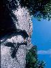 [thumbnail of Picture 27]