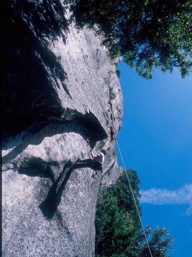 Image215.web.jpg