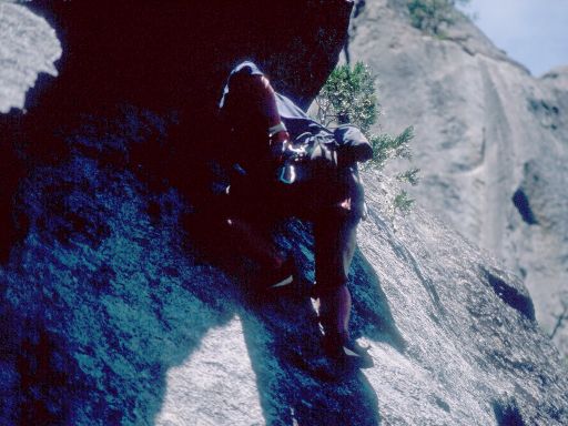 Image220.web.jpg