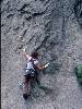 [thumbnail of Picture 36]