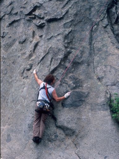 Image224.web.jpg
