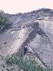 [thumbnail of Picture 1]